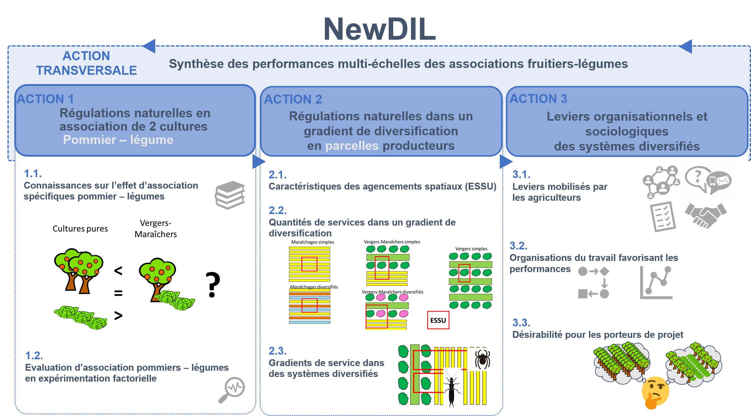 NewDIL_programme NewDIL_programme